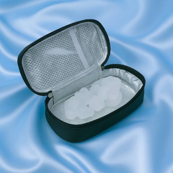 Bag Portable